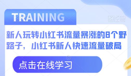 新人玩转小红书流量暴涨的8个野路子，小红书新人快速流量破局-天天项目库