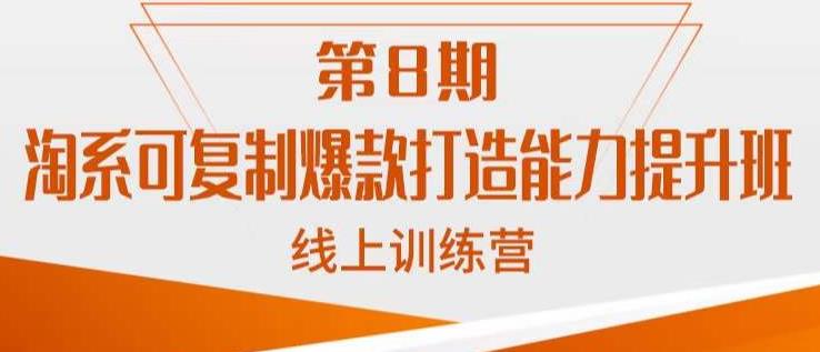 淘系可复制爆款打造能力提升班，这是一套可复制的打爆款标准化流程-天天项目库