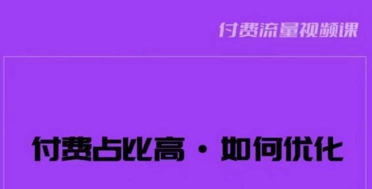 波波-付费占比高，如何优化？只讲方法，不说废话，高效解决问题！-天天项目库