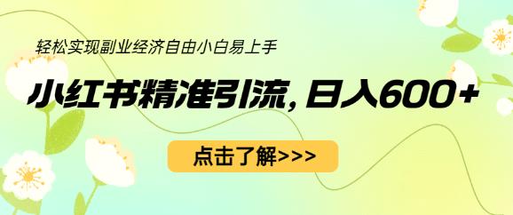 小红书精准引流，小白日入600+，轻松实现副业经济自由（教程+1153G资源）-天天项目库