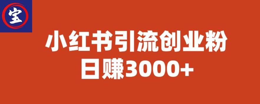 宝哥小红书引流创业粉，日赚3000+【揭秘】-天天项目库