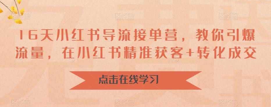 16天小红书导流接单营，教你引爆流量，在小红书精准获客+转化成交-天天项目库