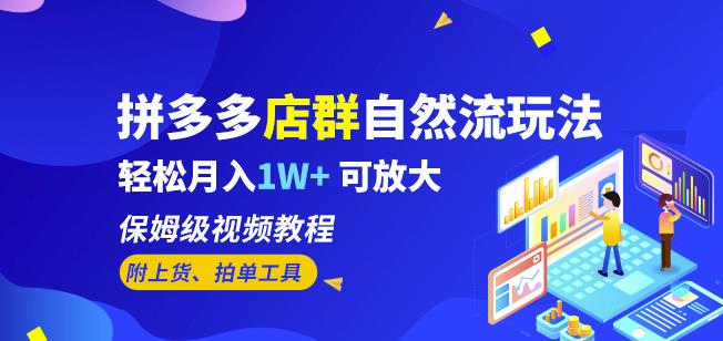 拼多多店群自然流玩法，轻松月入1W+保姆级视频教程（附上货、拍单工具）-天天项目库