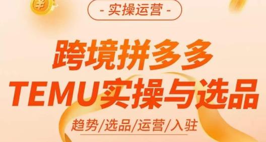 伍跃·跨境拼多多TEMU实操与选品，​趋势/选品/运营/入住（27节完整）-天天项目库