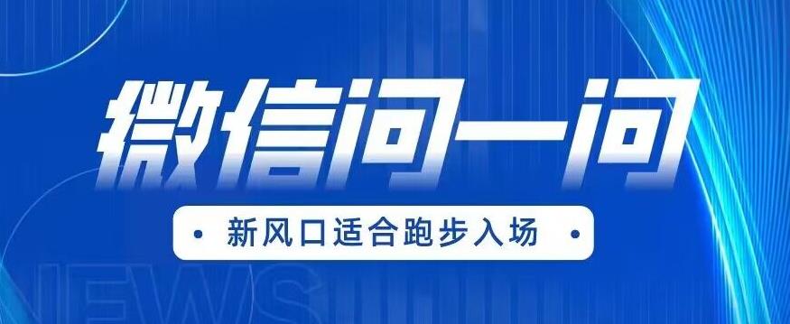 全网首发微信问一问新风口变现项目（价值1999元）【揭秘】-天天项目库