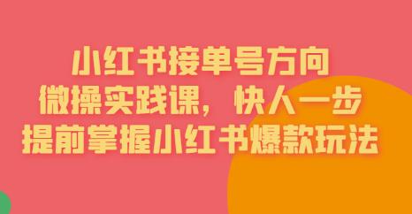 接单号方向·小红书微操实践课，快人一步，提前掌握小红书爆款玩法-天天项目库