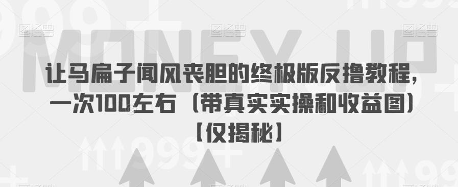 让马扁子闻风丧胆的终极版反撸教程，一次100左右（带真实实操和收益图）【仅揭秘】-天天项目库