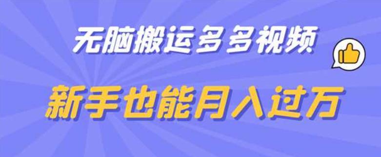 无脑搬运多多视频，新手也能月入过万【揭秘】-天天项目库