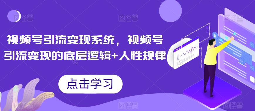 视频号引流变现系统，视频号引流变现的底层逻辑+人性规律-天天项目库