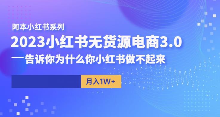 阿本小红书无货源电商3.0，告诉你为什么你小红书做不起来-天天项目库