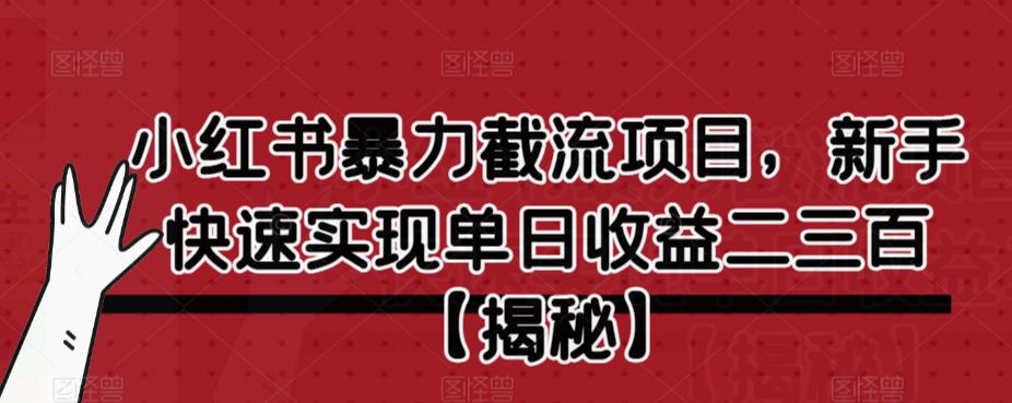 小红书暴力截流项目，新手快速实现单日收益二三百【仅揭秘】-天天项目库