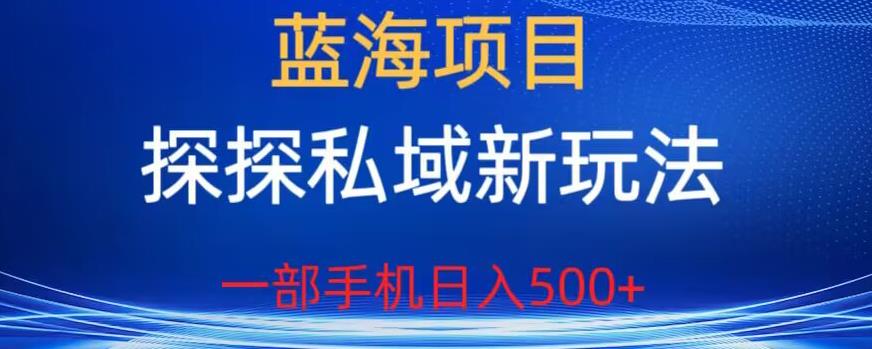 蓝海项目，探探私域新玩法，一部手机日入500+很轻松【揭秘】-天天项目库