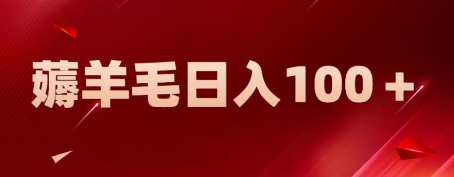 新平台零撸薅羊毛，一天躺赚100＋，无脑复制粘贴【揭秘】-天天项目库