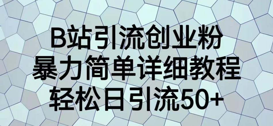 B站引流创业粉，暴力简单详细教程，轻松日引流50+【揭秘】-天天项目库