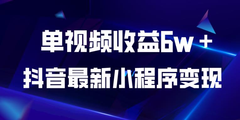 抖音最新小程序变现项目，单视频收益6w＋，小白可做【揭秘】-天天项目库