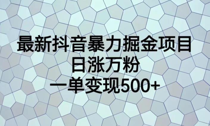 最新抖音暴力掘金项目，日涨万粉，一单变现500+【揭秘】-天天项目库