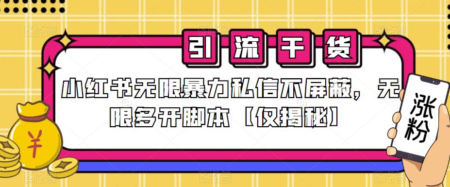 小红书无限暴力私信不屏蔽，无限多开脚本【仅揭秘】-天天项目库