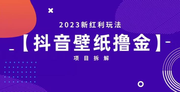 抖音壁纸小程序创作者撸金项目，2023新红利玩法【项目拆解】-天天项目库