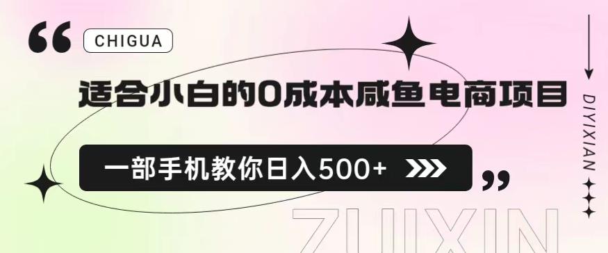 适合小白的0成本闲鱼电商项目，一部手机，教你如何日入500+的保姆级教程【揭秘】-天天项目库