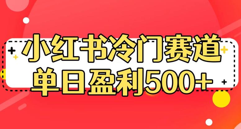 小红书冷门赛道，单日盈利500+【揭秘】-天天项目库