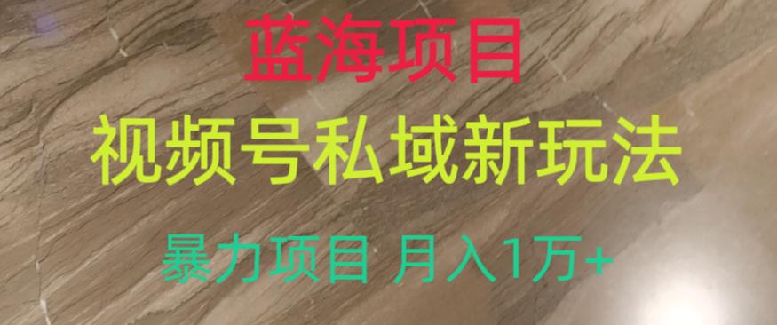 蓝海项目，视频号私域新玩法，暴力项目月入1万+【揭秘】-天天项目库