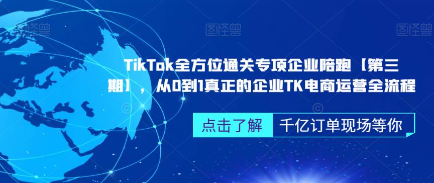 ‎TikTok全方位通关专项企业陪跑【第三期】，从0到1真正的企业TK电商运营全流程-天天项目库