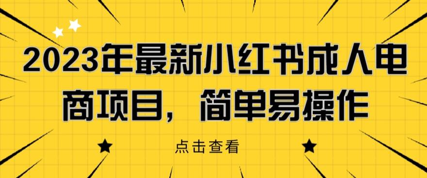 2023年最新小红书成人电商项目，简单易操作【详细教程】【揭秘】-天天项目库