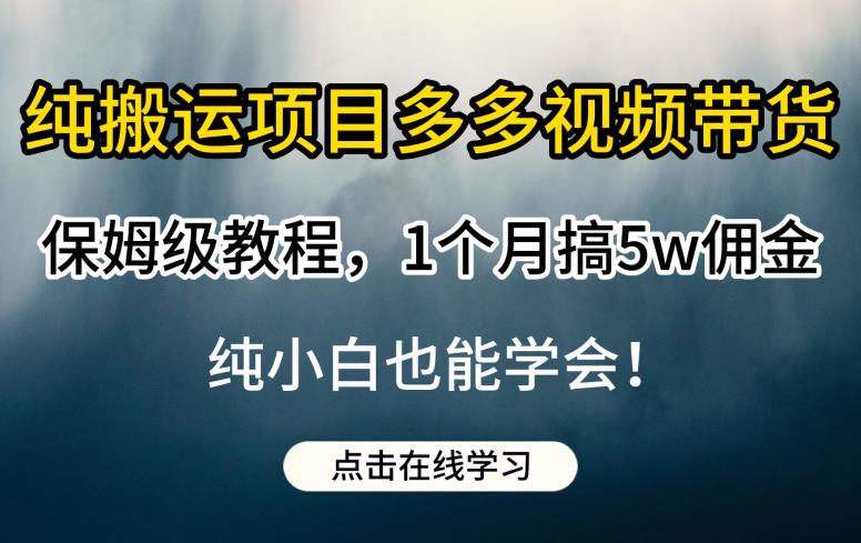 纯搬运项目多多视频带货保姆级教程，1个月搞5w佣金，纯小白也能学会【揭秘】-天天项目库