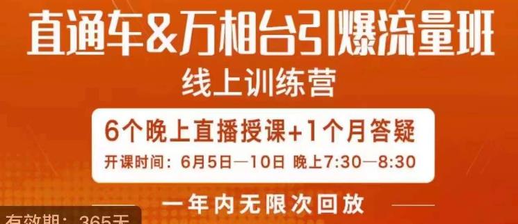 直通车&万相台引爆流量班，6天打通你开直通车·万相台的任督二脉-天天项目库