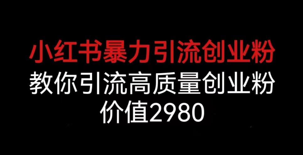 小红书暴力引流创业粉，教你引流高质量创业粉，价值2980【揭秘】-天天项目库