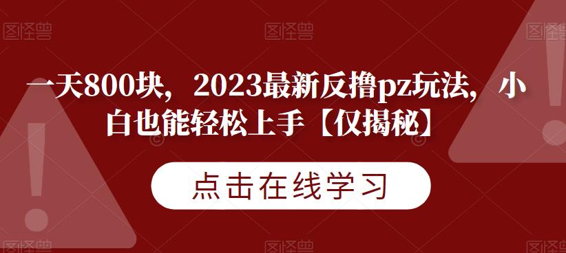 一天800块，2023最新反撸pz玩法，小白也能轻松上手【仅揭秘】-天天项目库