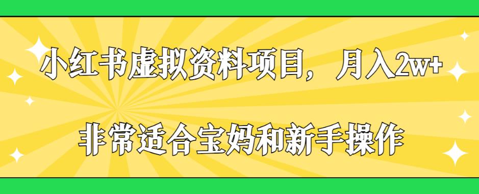 小红书虚拟资料项目，月入2w+，非常适合宝妈和新手操作【揭秘】-天天项目库