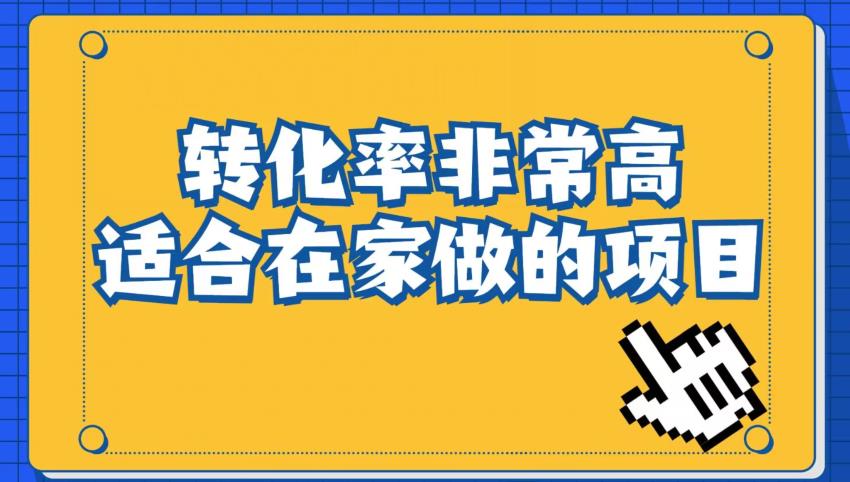 小红书虚拟电商项目：从小白到精英（视频课程+交付手册）-天天项目库