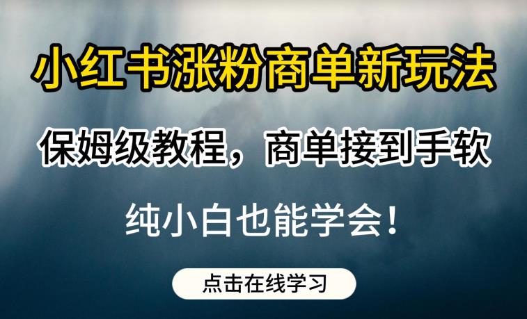 小红书涨粉商单新玩法，保姆级教程，商单接到手软，纯小白也能学会【揭秘】-天天项目库