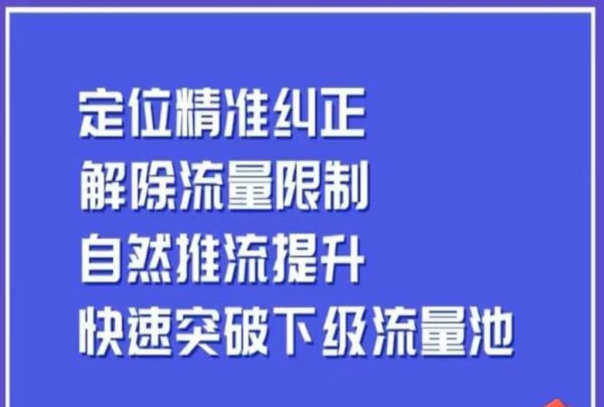 同城账号付费投放运营优化提升，​定位精准纠正，解除流量限制，自然推流提升，极速突破下级流量池-天天项目库