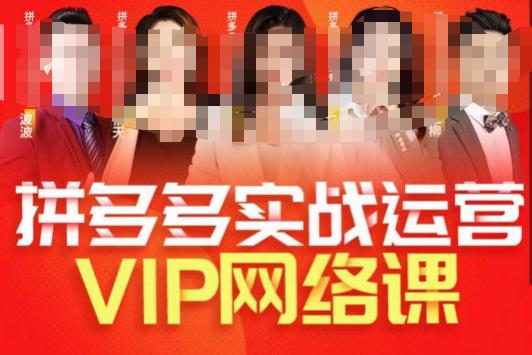 推易拼多多VIP全套直播课程，拼多多店铺实操玩法+实战玩法选款内功+直通车高阶等-天天项目库