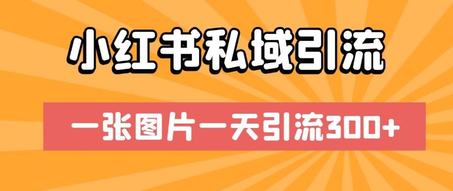 小红书私域引流，一张图片一天引流300+【揭秘】-天天项目库