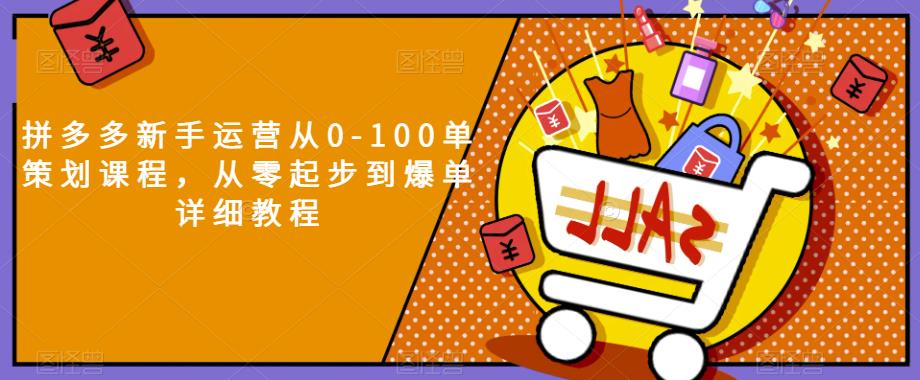 拼多多新手运营从0-100单策划课程，从零起步到爆单详细教程-天天项目库