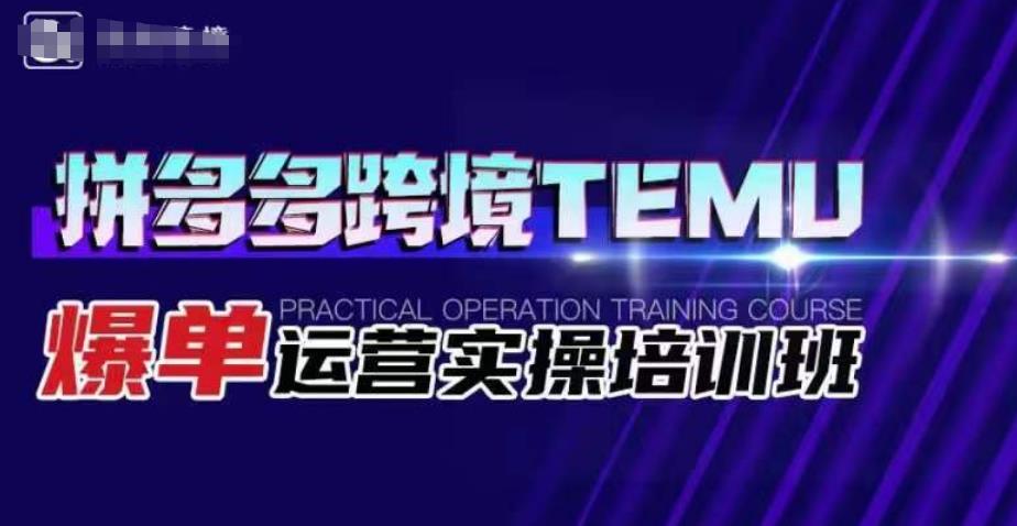 拼多多跨境TEMU爆单运营实操培训班，海外拼多多的选品、运营、爆单-天天项目库