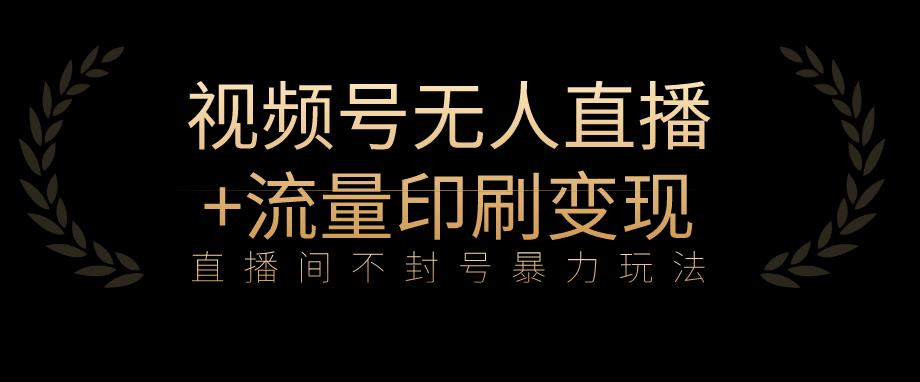 全网首发视频号不封号无人直播暴利玩法+流量印刷机变现，日入1000+【揭秘】-天天项目库