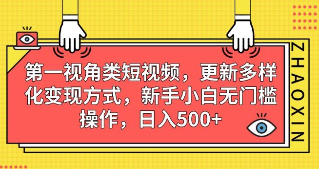 第一视角类短视频，更新多样化变现方式，新手小白无门槛操作，日入500+【揭秘】-天天项目库