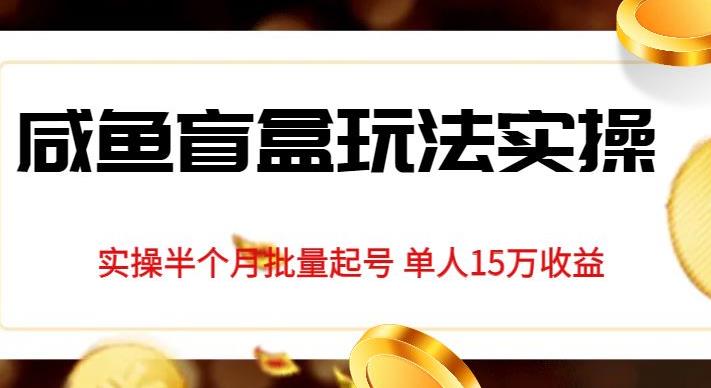 独家首发咸鱼盲盒玩法实操，半个月批量起号单人15万收益【揭秘】-天天项目库