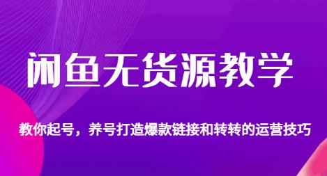 闲鱼无货源教学，教你起号，养号打造爆款链接以及转转的运营技巧-天天项目库