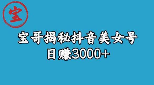 宝哥揭秘抖音美女号玩法，日赚3000+【揭秘】-天天项目库