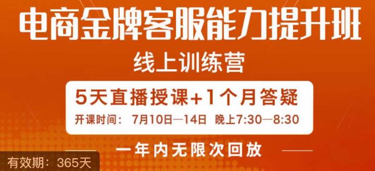 电商金牌客服能力提升班，提升客服能力是你店铺业绩的关键要素-天天项目库