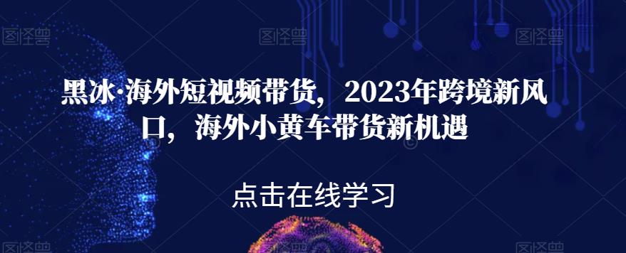 黑冰·海外短视频带货，2023年跨境新风口，海外小黄车带货新机遇-天天项目库