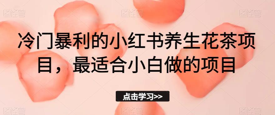 冷门暴利的小红书养生花茶项目，最适合小白做的项目【揭秘】-天天项目库