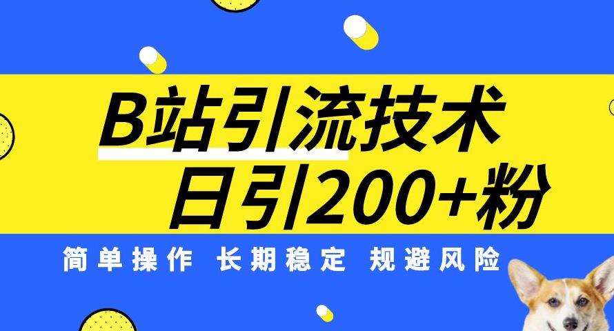 B站引流技术：每天引流200精准粉，简单操作，长期稳定，规避风险-天天项目库