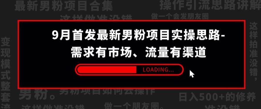 9月首发最新男粉项目实操思路-需求有市场，流量有渠道【揭秘】-天天项目库