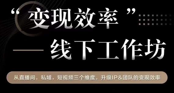 变现效率线下工作坊，从‮播直‬间、私域、‮视短‬频‮个三‬维度，升级IP和团队变现效率-天天项目库